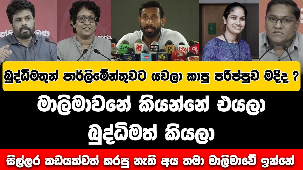 බුද්ධිමතුන් පාර්ලිමේන්තුවට යවල කාපු පරිප්පුව මදිද? මාලිමාවට ගමේ මිනිස්සු නැති නිසා උගතුන් දාලා - 2024.10.21