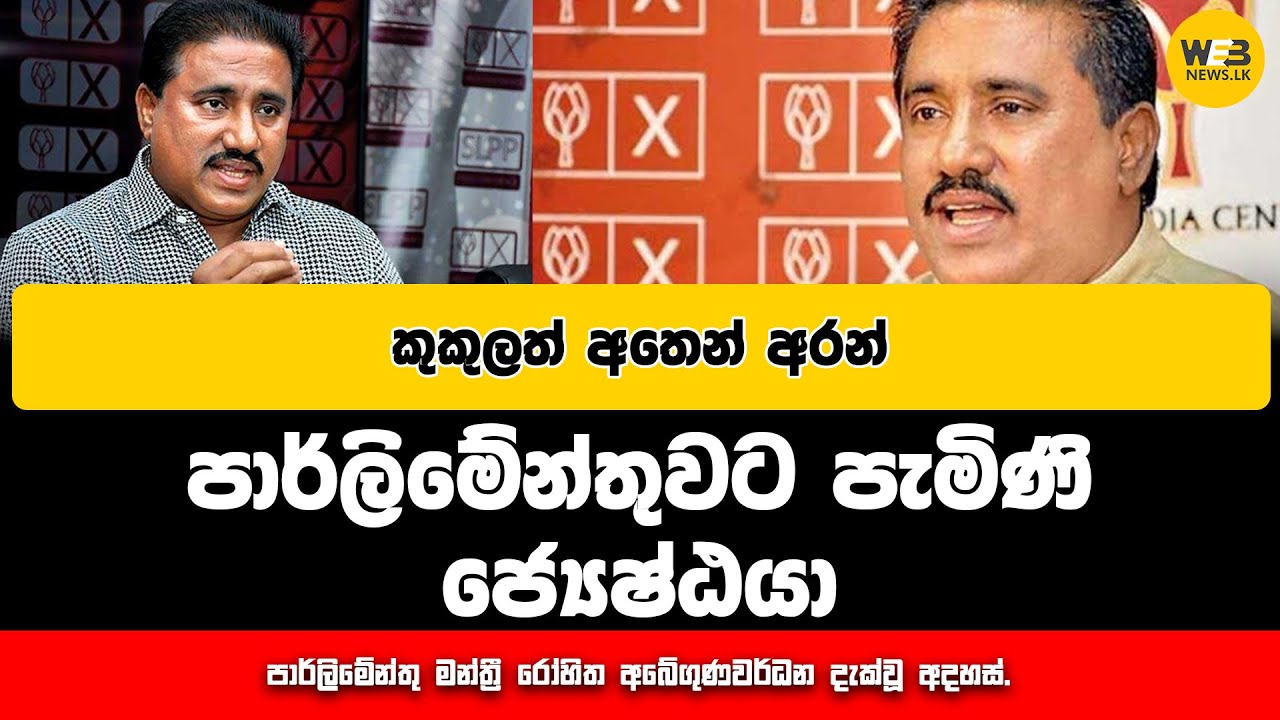 කුකුලත් අතෙන් අරන් පාර්ලිමේන්තුවට පැමිණි ජ්‍යෙෂ්ඨයා. - 2024.11.21