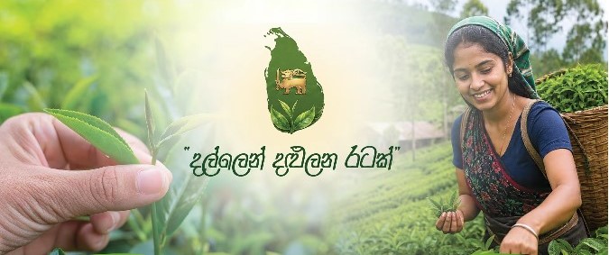 2030 ජාතික ඉලක්කය කරා "Ceylon Tea Village" පොකුරු තේ ගම්මාන 500ක්, - 10.07.2026